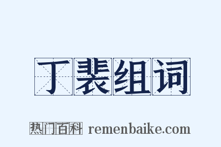 丁裴组词是什么意思的图片